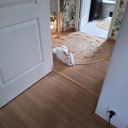 Chambre Climatisee Au Coeur De Brive Avec Televiseur Connecte Wifi Netflix Zewnętrze zdjęcie