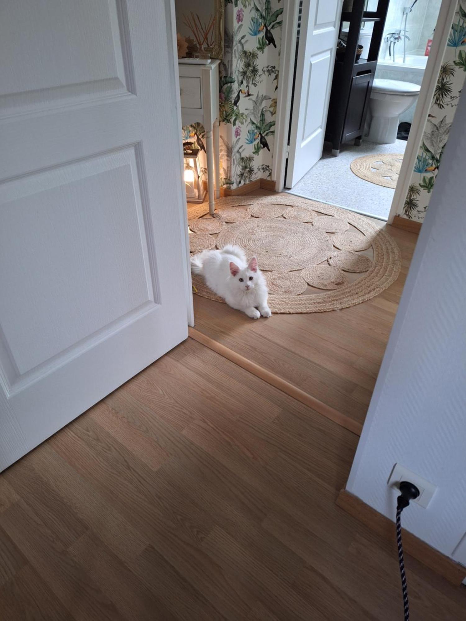 Chambre Climatisee Au Coeur De Brive Avec Televiseur Connecte Wifi Netflix Zewnętrze zdjęcie